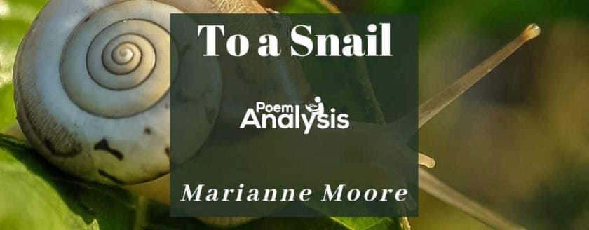 To a Snail by Marianne Moore