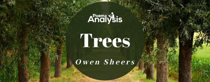 Trees by Owen Sheers