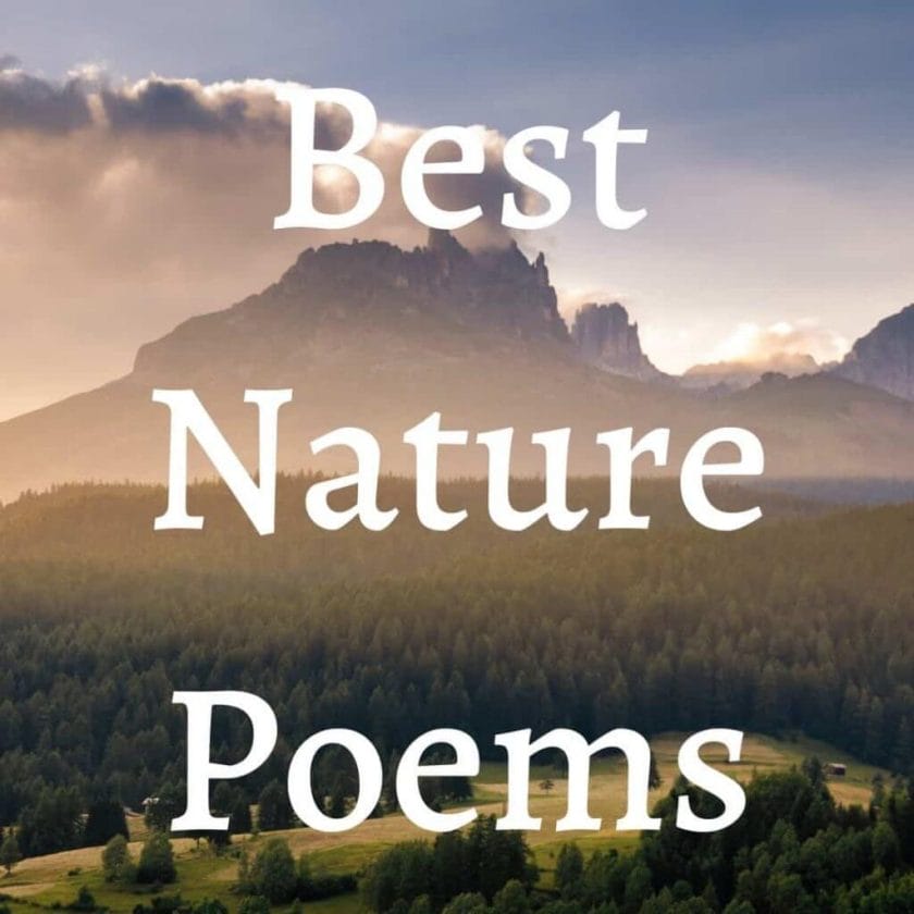nature poem essay