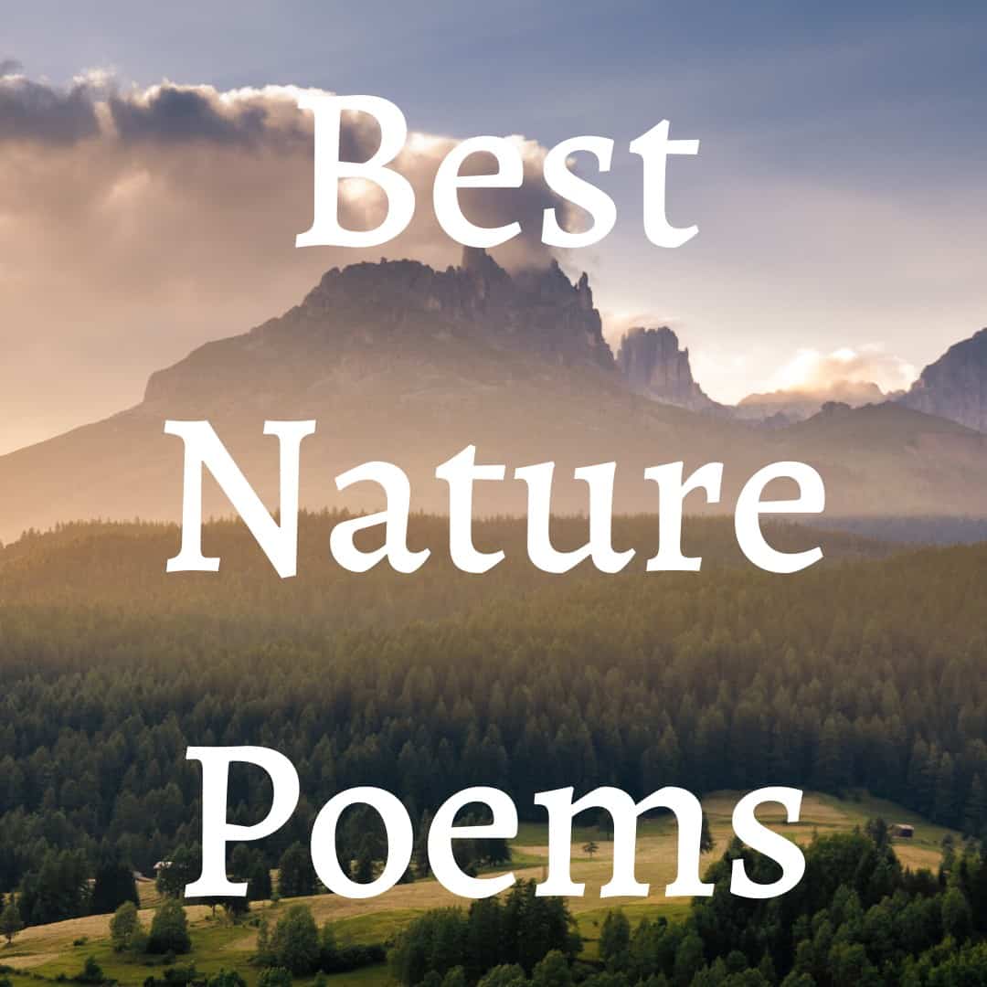 80 Beautiful Poems About Nature