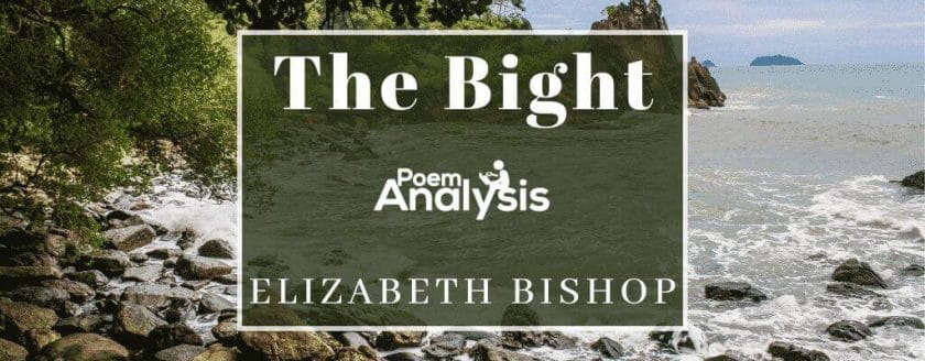 The Bight by Elizabeth Bishop