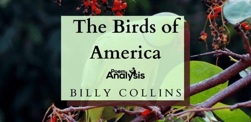 The Birds of America by Billy Collins