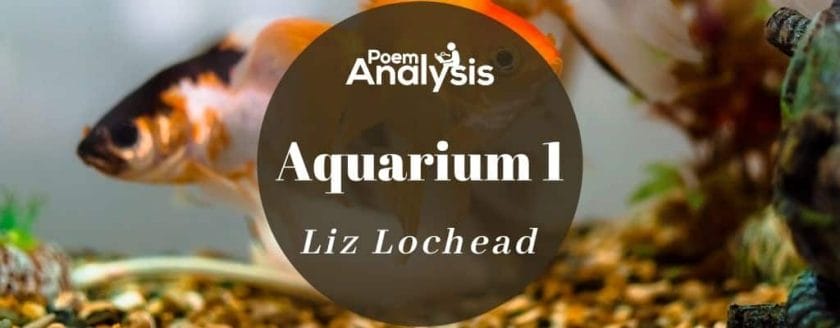Aquarium 1 by Liz Lochead