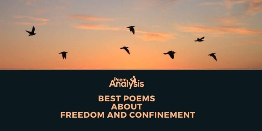 Best Poems about Freedom and Confinement