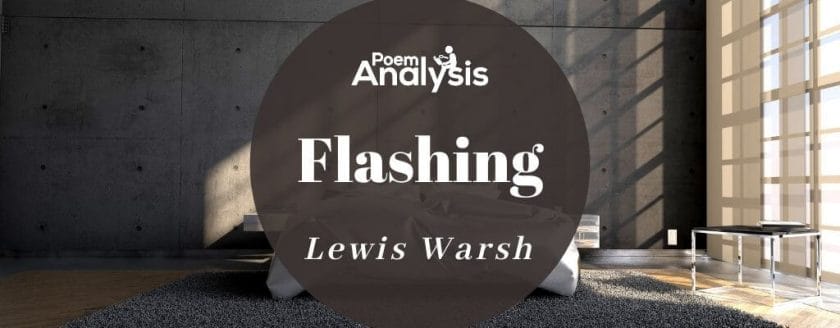 Flashing by Lewis Warsh