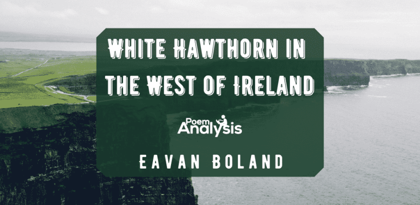 White Hawthorn in the West of Ireland by Eavan Boland