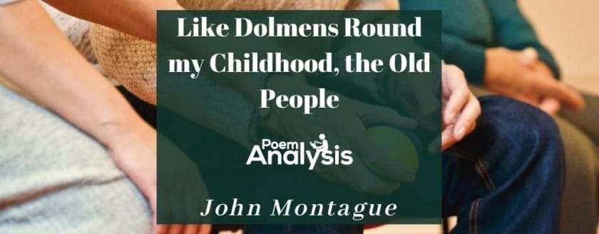 Like Dolmens Round my Childhood, the Old People by John Montague