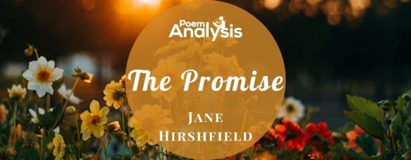 The Promise by Jane Hirshfield