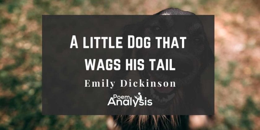 A little Dog that wags his tail by Emily Dickinson