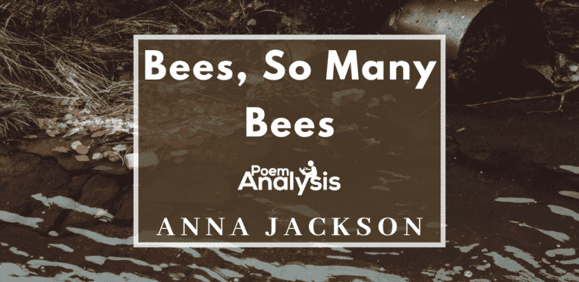 Bees, So Many Bees by Anna Jackson