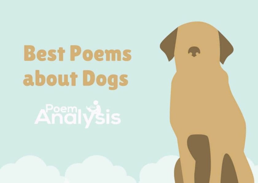 Best Poems about Dogs