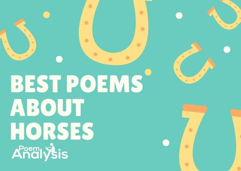 Best Poems about Horses