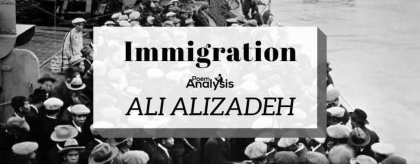 Immigration by Ali Alizadeh