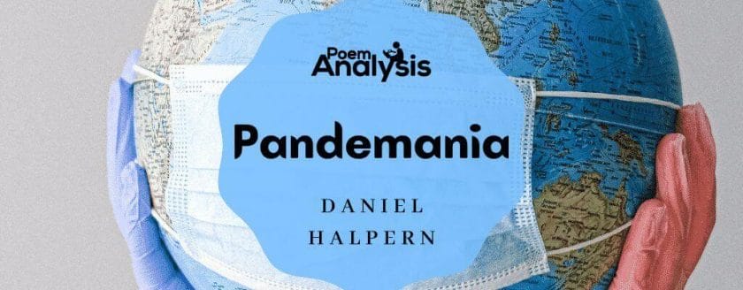 Pandemania by Daniel Halpern