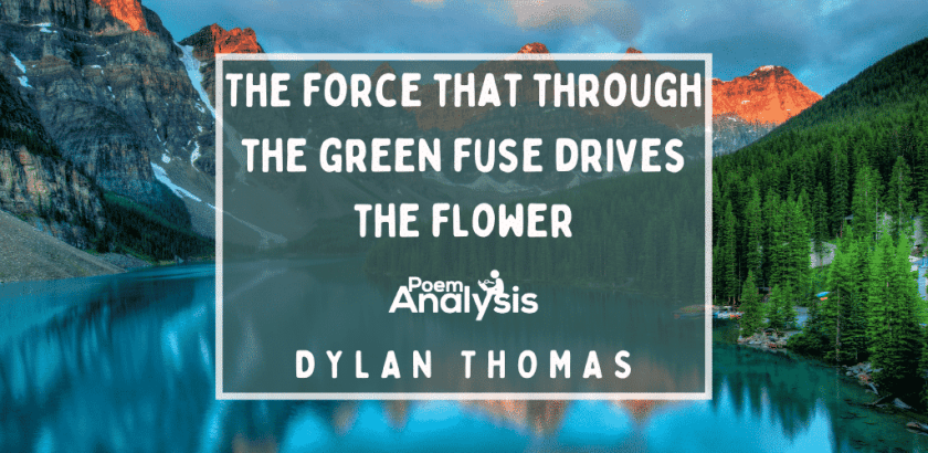 The force that through the green fuse drives the flower by Dylan Thomas