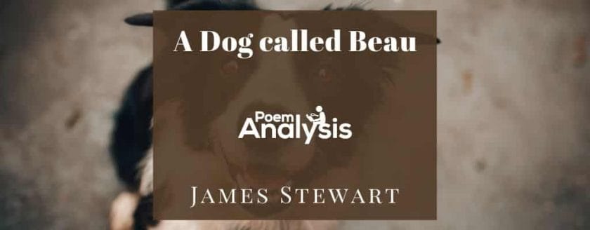 A Dog called Beau by James Stewart