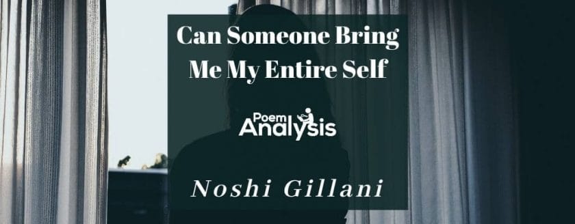Can Someone Bring Me My Entire Self by Noshi Gillani