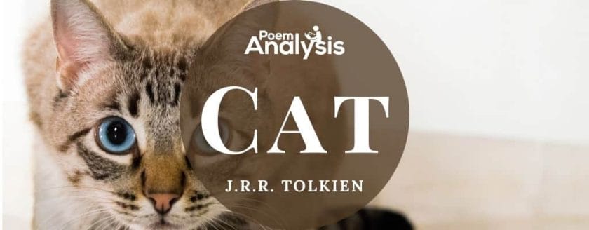 Cat by J.R.R. Tolkien