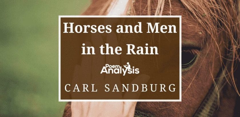 Horses and Men in the Rain by Carl Sandburg