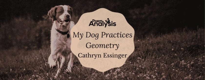 My Dog Practices Geometry by Cathryn Essinger