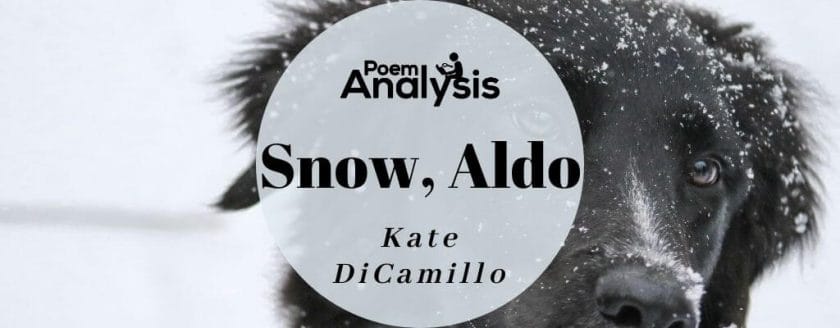 Snow, Aldo by Kate DiCamillo