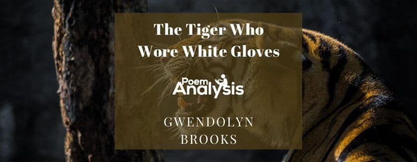 The Tiger Who Wore White Gloves by Gwendolyn Brooks