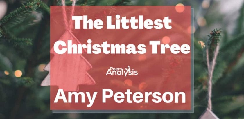 The Littlest Christmas Tree by Amy Peterson