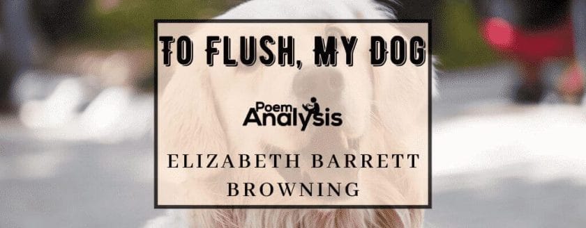 To Flush, My Dog by Elizabeth Barrett Browning