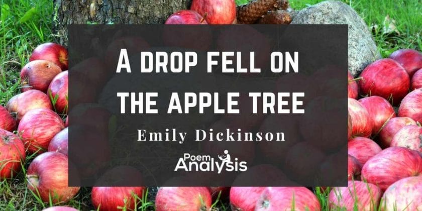 A drop fell on the apple tree by Emily Dickinson