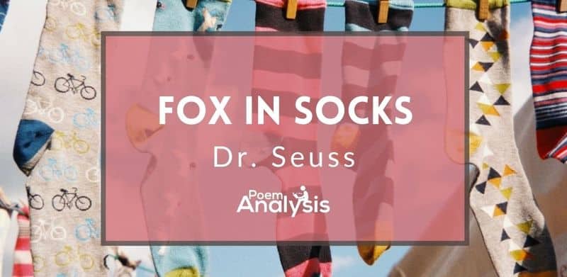 Fox in Socks by Dr. Seuss