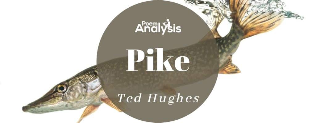 Pike by Ted Hughes - Poem Analysis