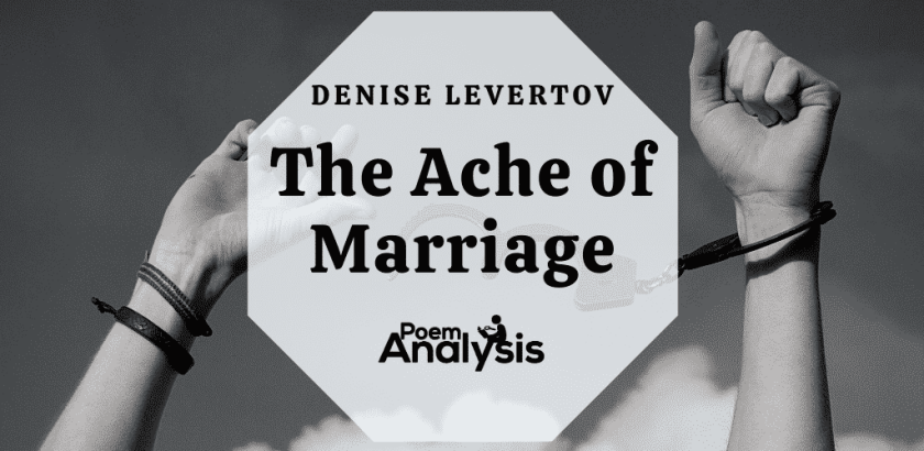 The Ache of Marriage by Denise Levertov