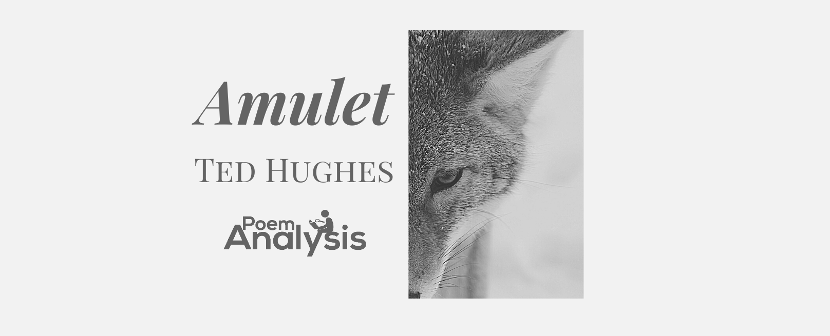 Amulet by Ted Hughes - Poem Analysis