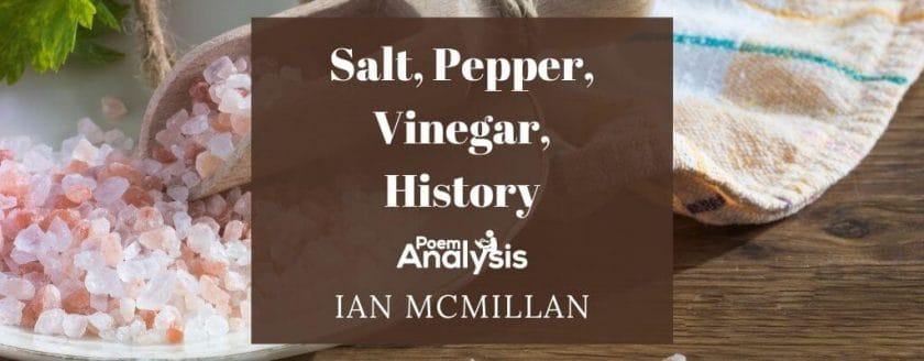 Salt, Pepper, Vinegar, History by Ian McMillan
