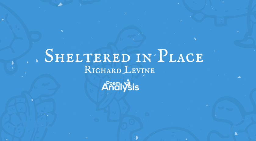 Sheltered in Place by Richard Levine
