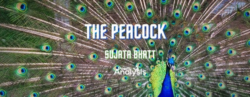 The Peacock by Sujata Bhatt