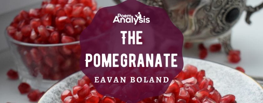 The Pomegranate by Eavan Boland