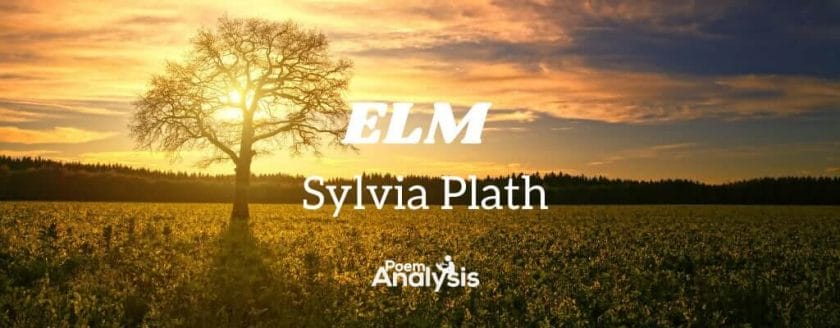 Elm by Sylvia Plath