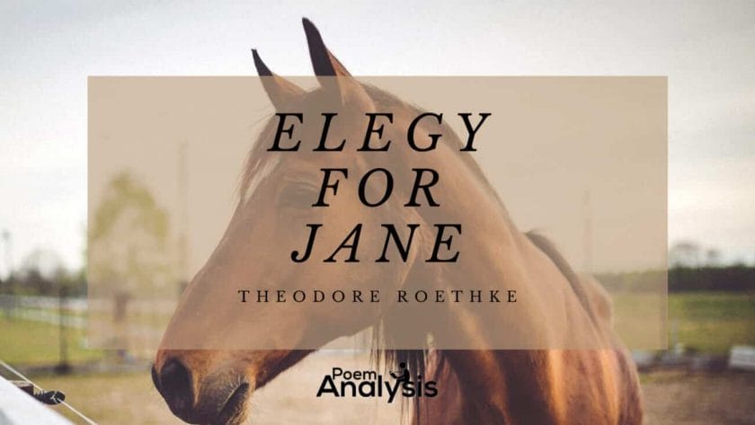 Elegy for Jane by Theodore Roethke