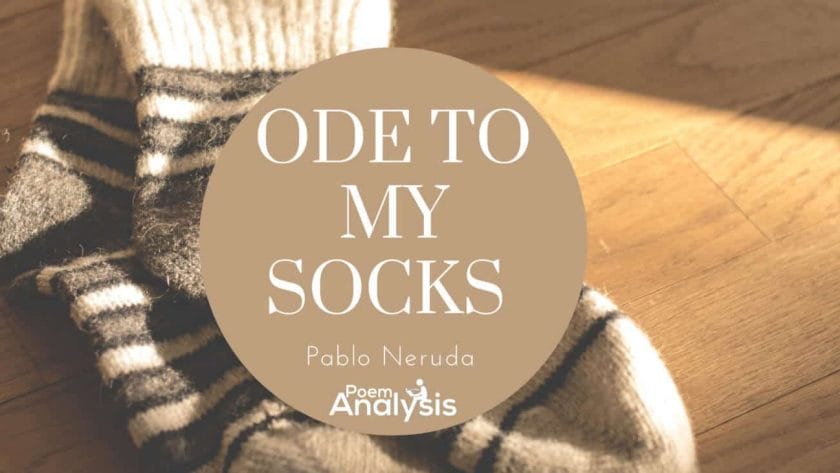 Ode to My Socks by Pablo Neruda