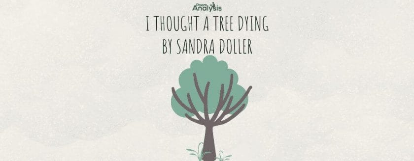 I Thought a Tree Dying by Sandra Doller