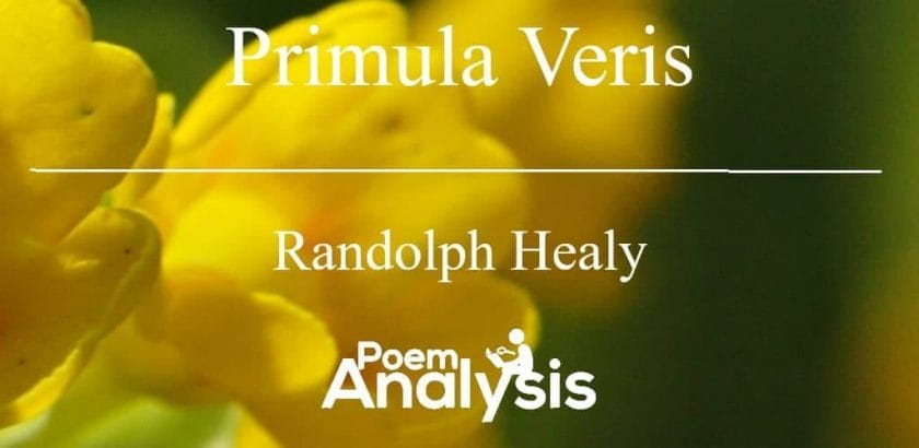 Primula Veris by Randolph Healy