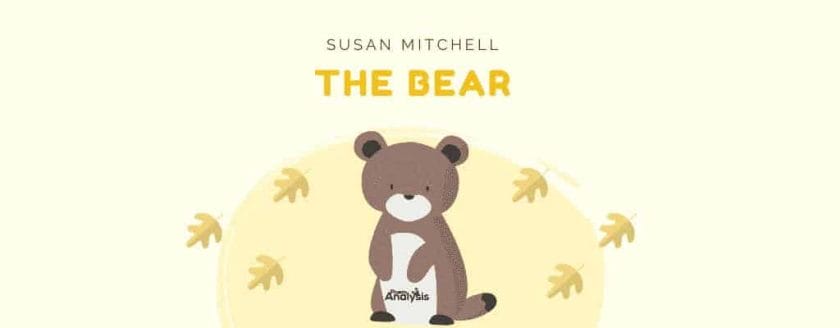 The Bear by Susan Mitchell
