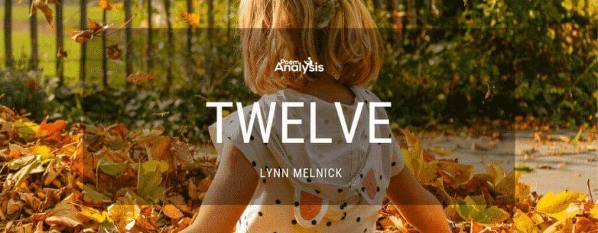 Twelve by Lynn Melnick