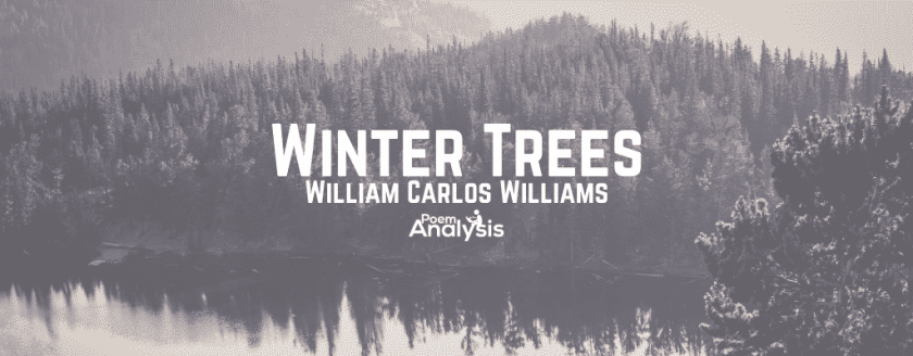 Winter Trees by William Carlos Williams