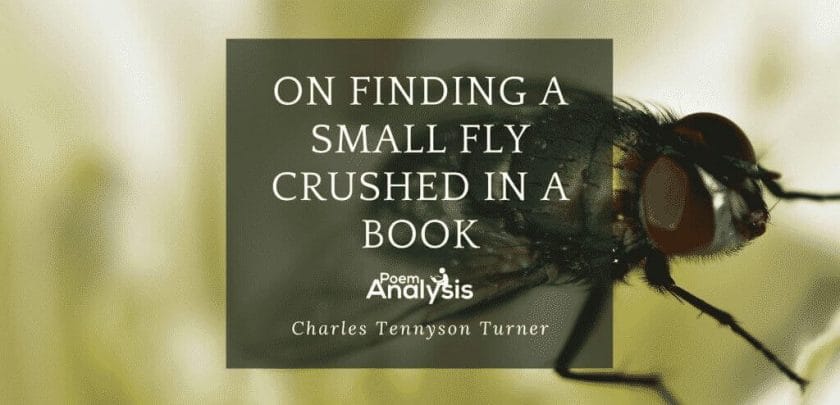 On Finding a Small Fly Crushed in a Book by Charles Tennyson Turner