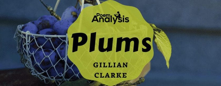 Plums by Gillian Clarke