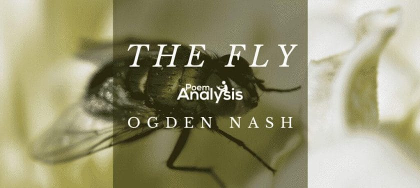 The Fly by Ogden Nash
