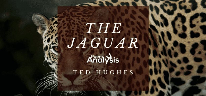The Jaguar by Ted Hughes