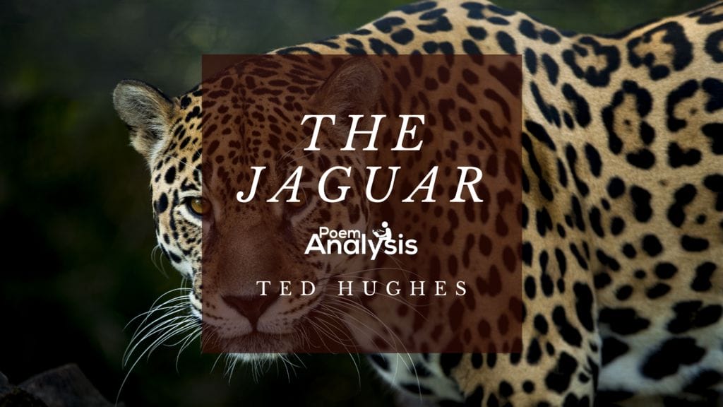 The Jaguar by Ted Hughes - Poem Analysis